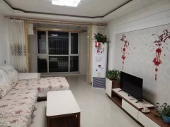 🍋泰和东区不是顶，便宜的两室好房推荐[玫瑰]96平大两室，南面客厅，带地上下房，59万，精装短住