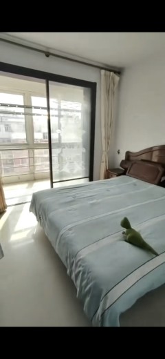 年租9000。首次​出租健康红楼顶，90平米，冰箱洗衣机，电视齐全拎包入住 