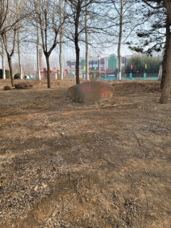 急售瑞祥楼（东安东临）纯3楼不是顶，两室温馨小家带地上下房39.8可议，大产权老本可贷款过户费低。